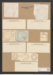 Campylodiscus hibernicus Ehr. (de-Toni-Nr.: Genus 57, Species 2504) Zeichnungen Sammlung Grunow Nr. 5006 (NHMW-BOT-W0373255)